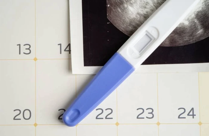 Prenatalni period